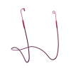 Loop Earplugs Tomorrowland x Loop Link